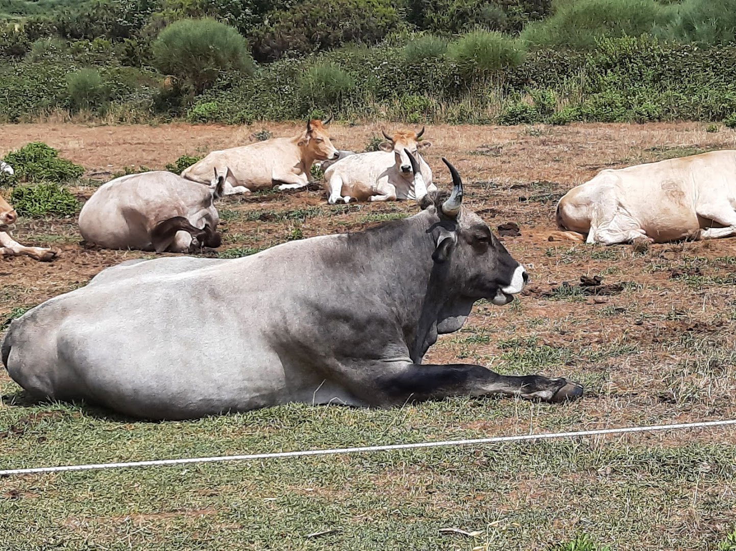 Ivekova Hiža Medulin