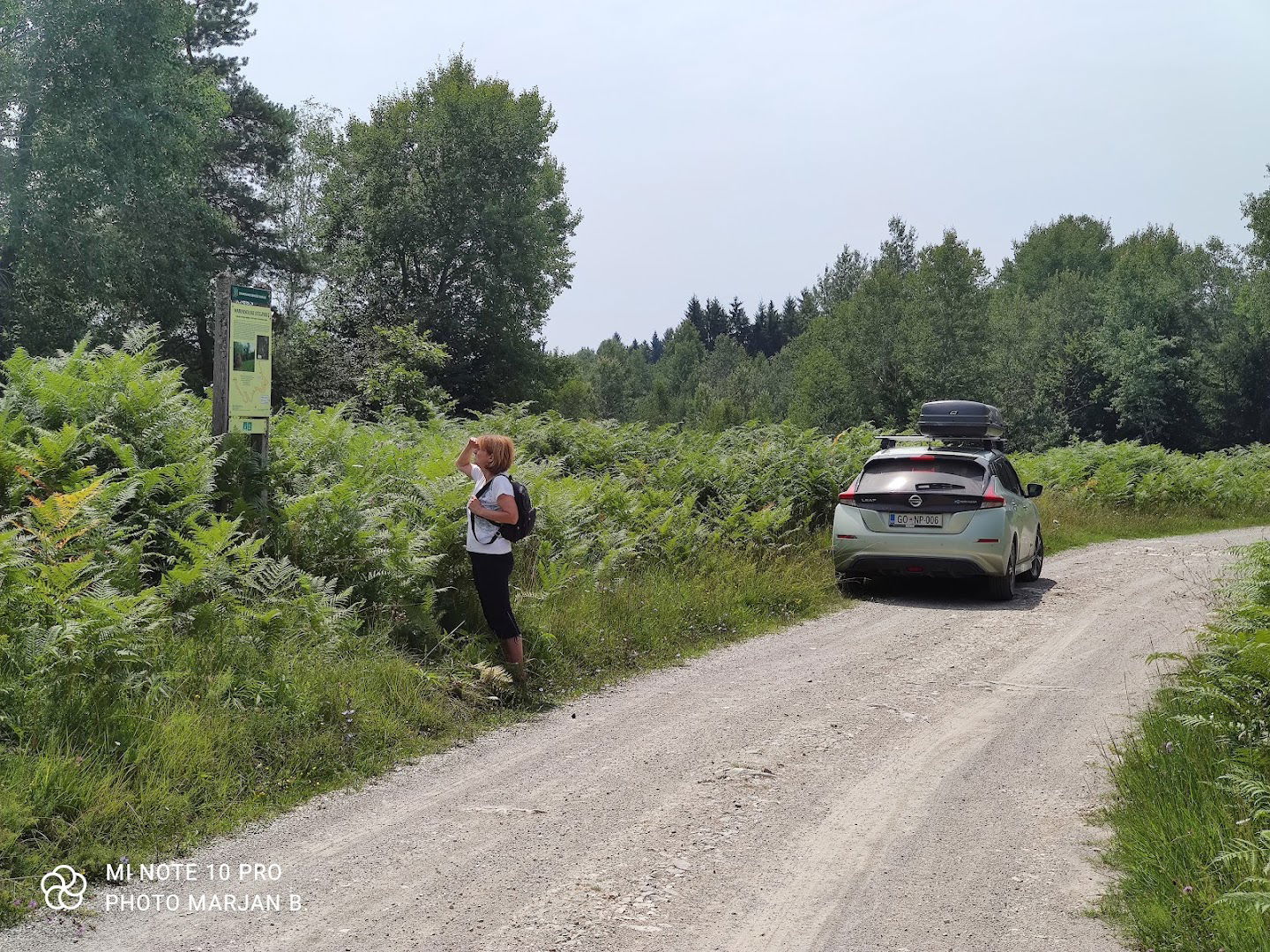 Marindolski steljniki