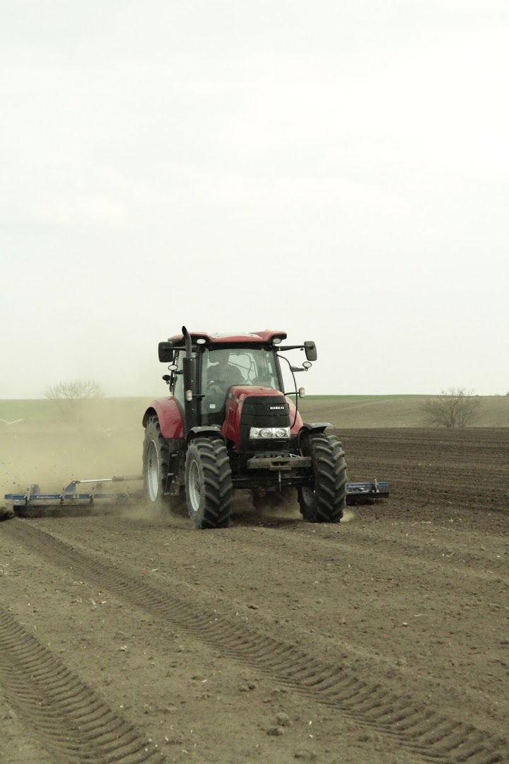Споменик Подунавском одреду