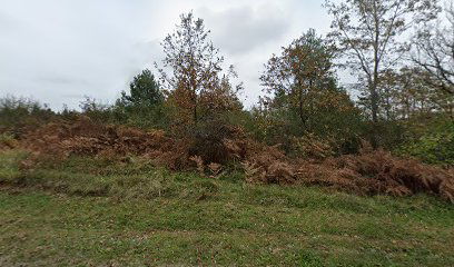 Mrežnički Brest cemetery