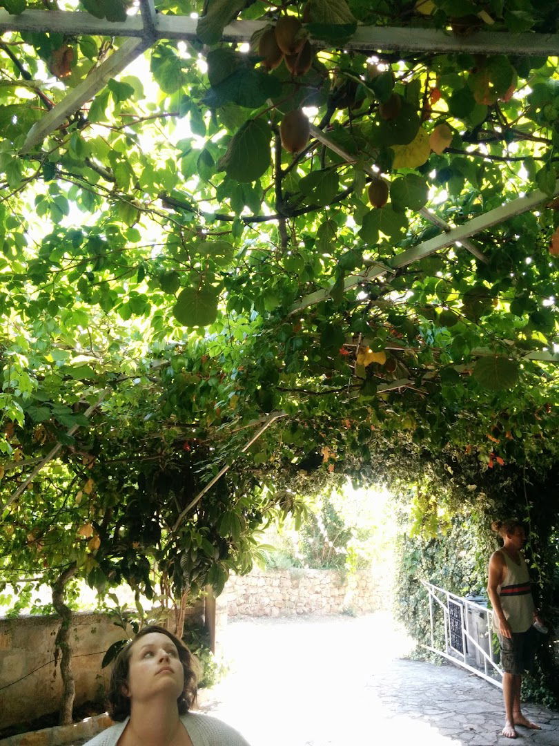 Rooms & Apartments Blue Beach