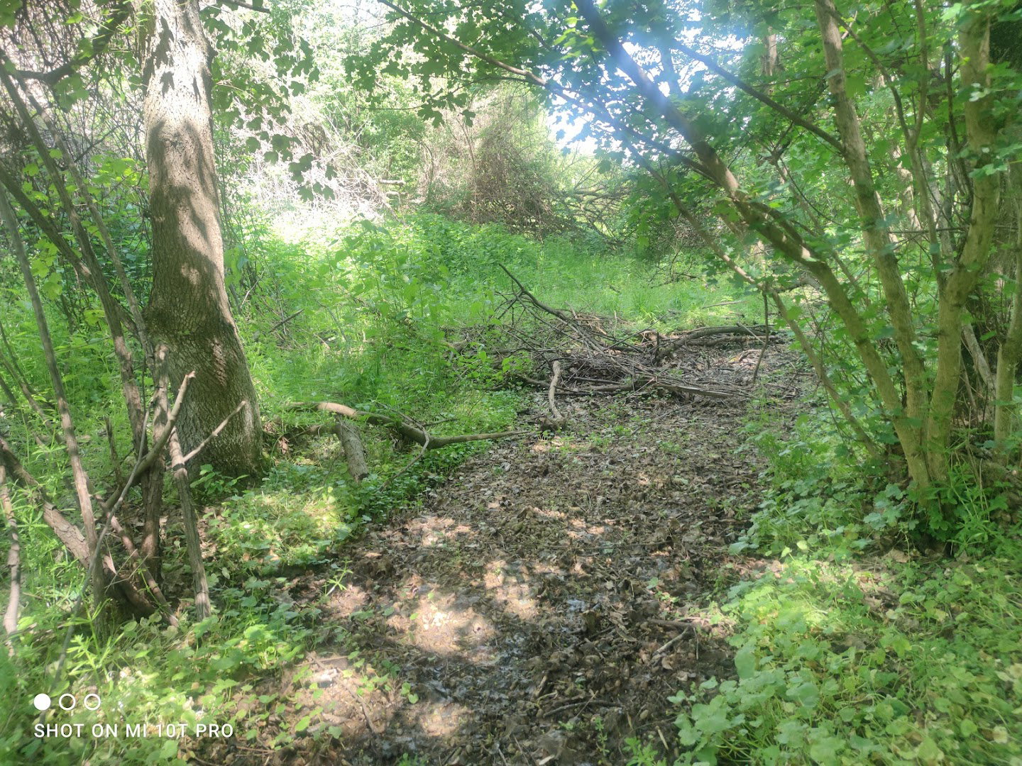 Stara Lozovička Fountain