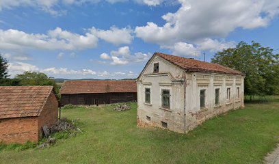 OPG DR vl.Darko Rajn