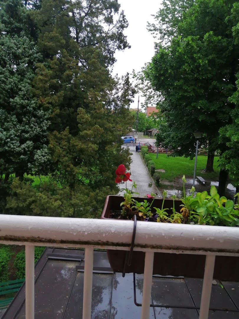 Primary School Dositej Obradović