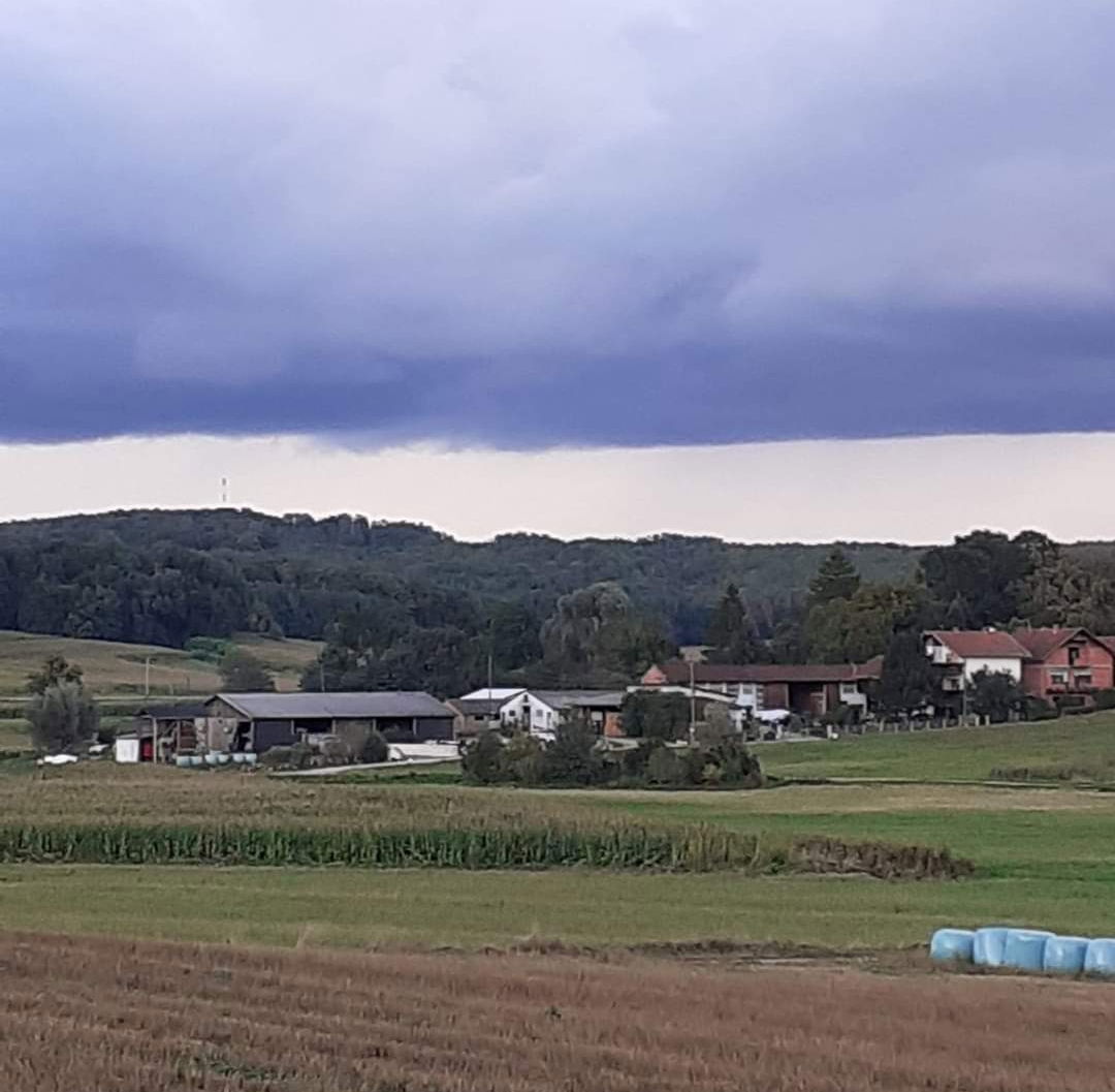 OPG Mario Piškorić