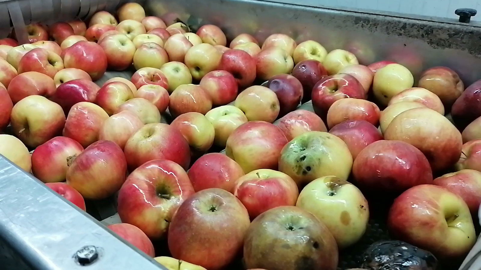 Tvornica octa Virovitica