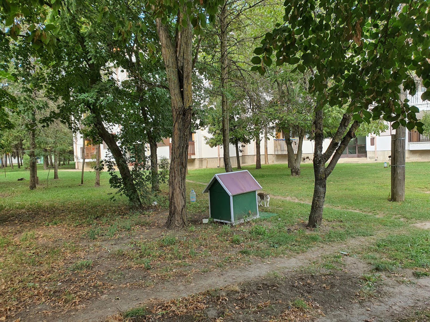 Železnička stanica Zlatica