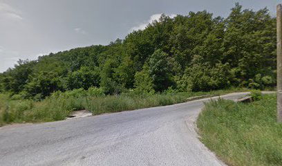 Lisović spomenik (Suva reka)