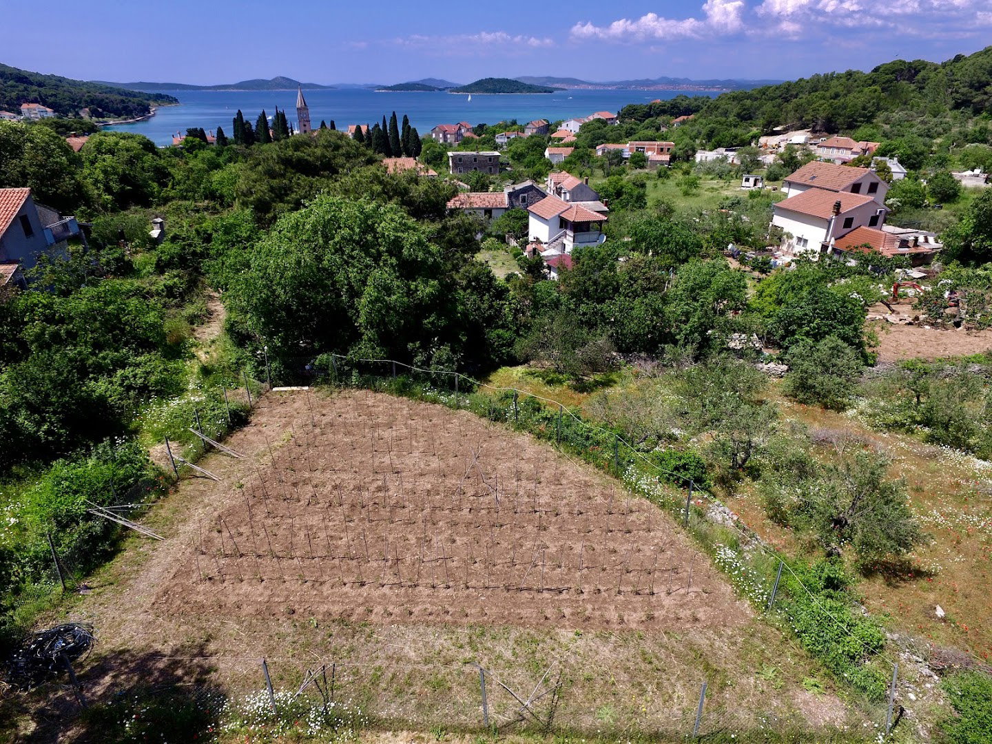 Zlarinski zeleni vrta