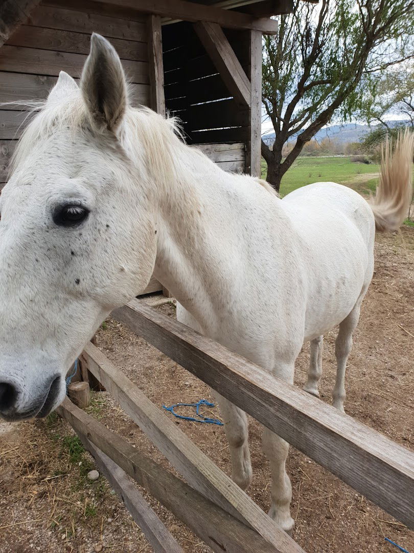 Konjički klub VRANAC - Čapljina