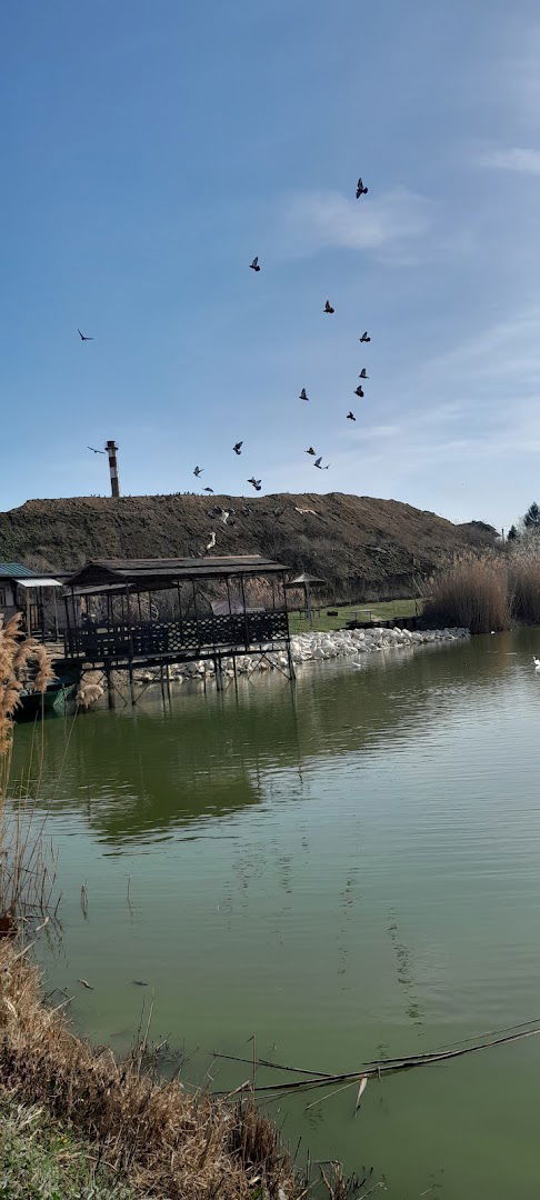 Udruženje građana Karlova bara