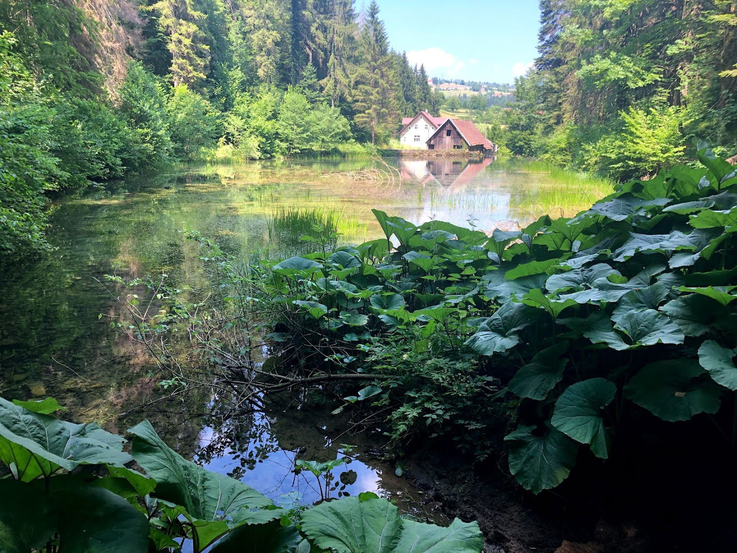 Čogrljevo jezero