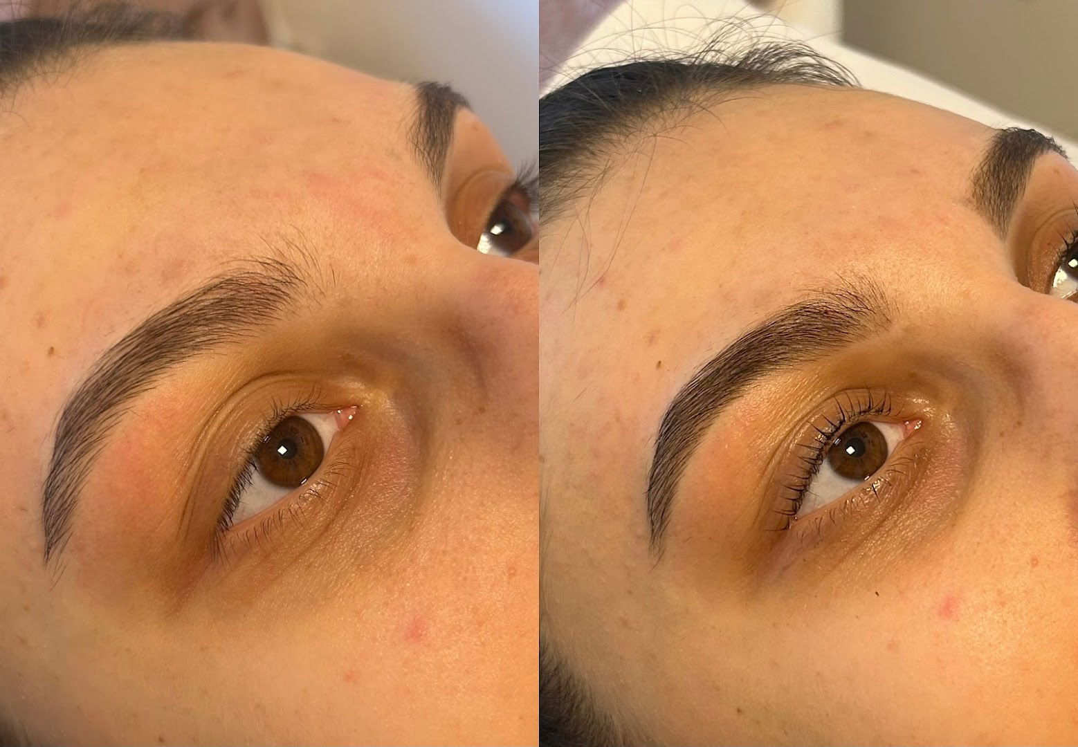 Bene Nutrita, vl. Petra Jovanović