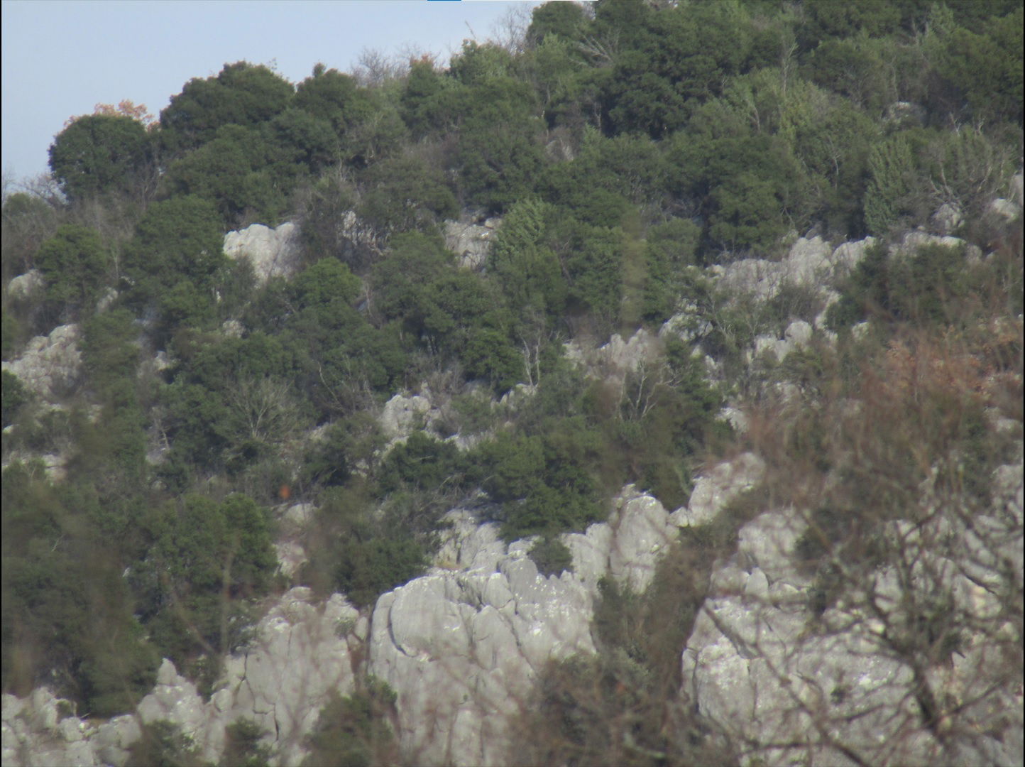 Daorske megalitske zidine - Ekmečića gradina
