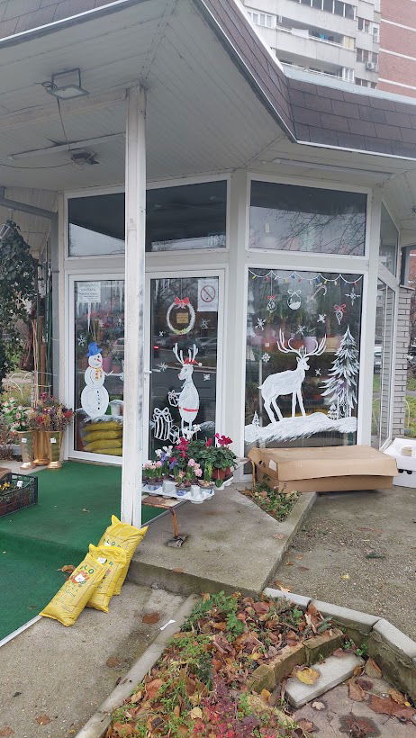 Чичак и тачка