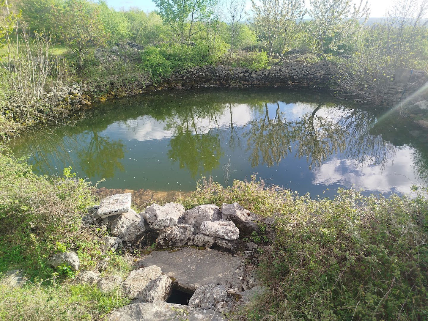 Svatovi Stipana Nakica