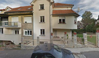 AUTO TAXI MIODRAG PETKOVIĆ PREDUZETNIK BEOGRAD (ČUKARICA)