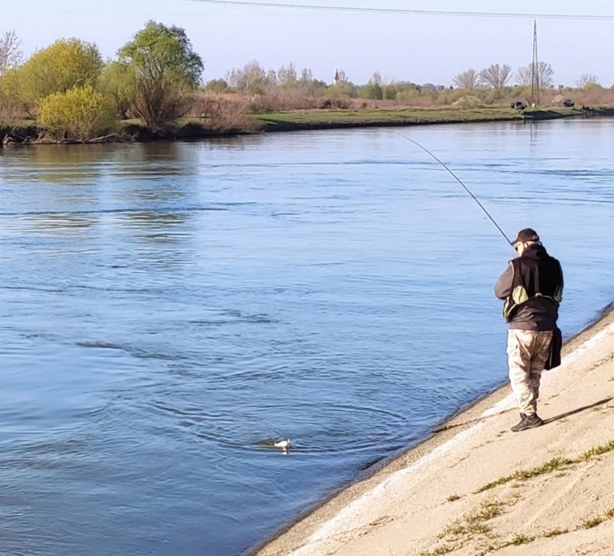 Тамиш код Томашевца