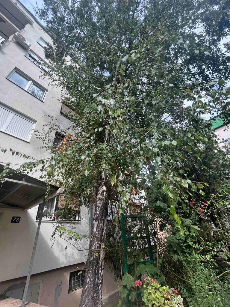 Braće Jerkovića 159