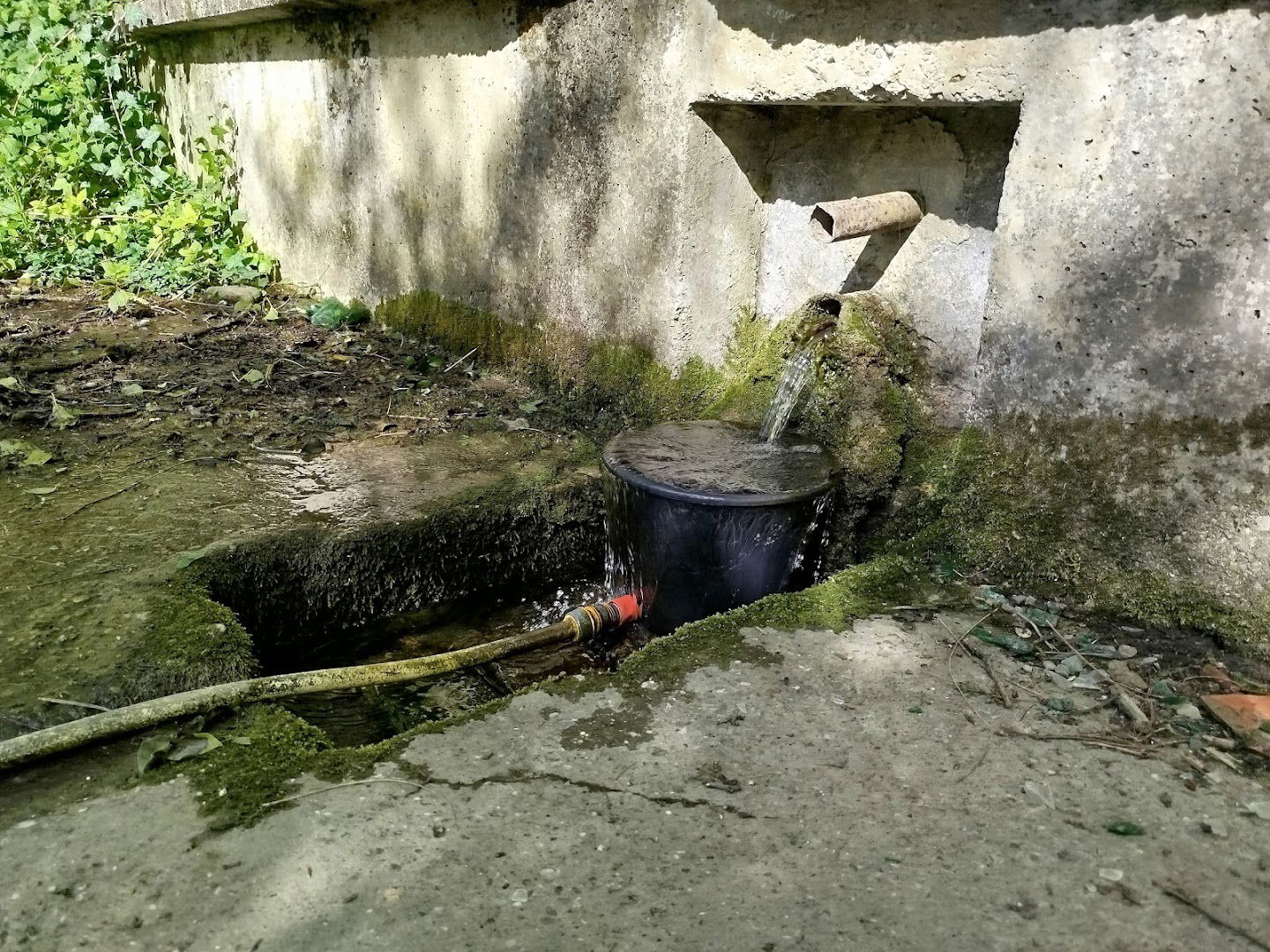 Potok Kobiljak - izvor