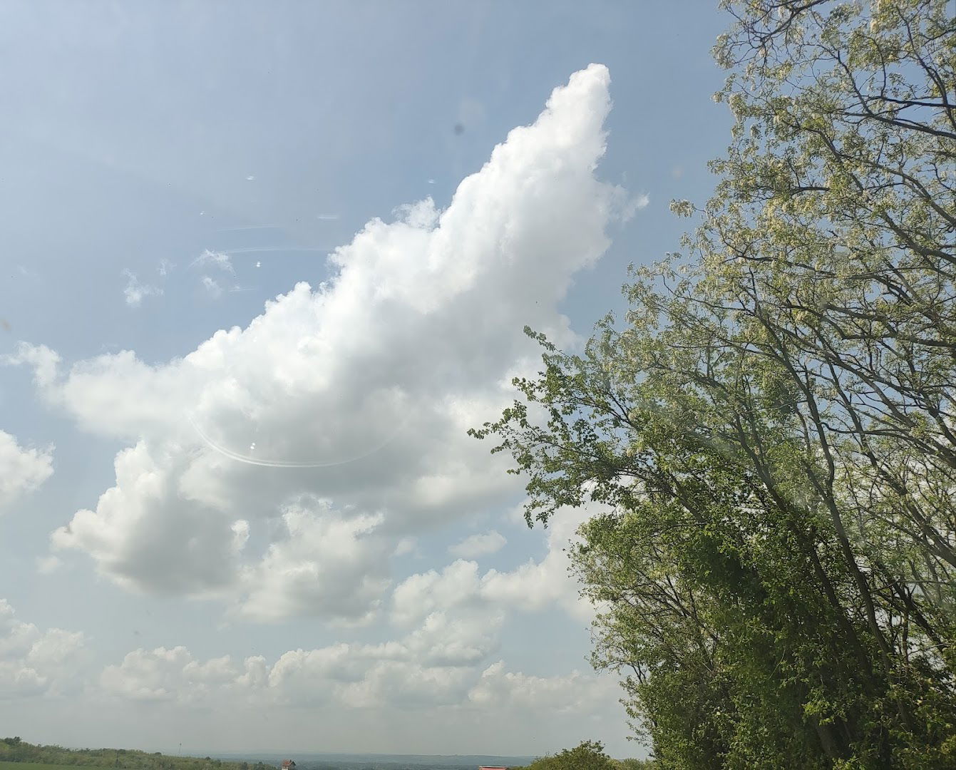 Vocno - Lozni Rasadnik