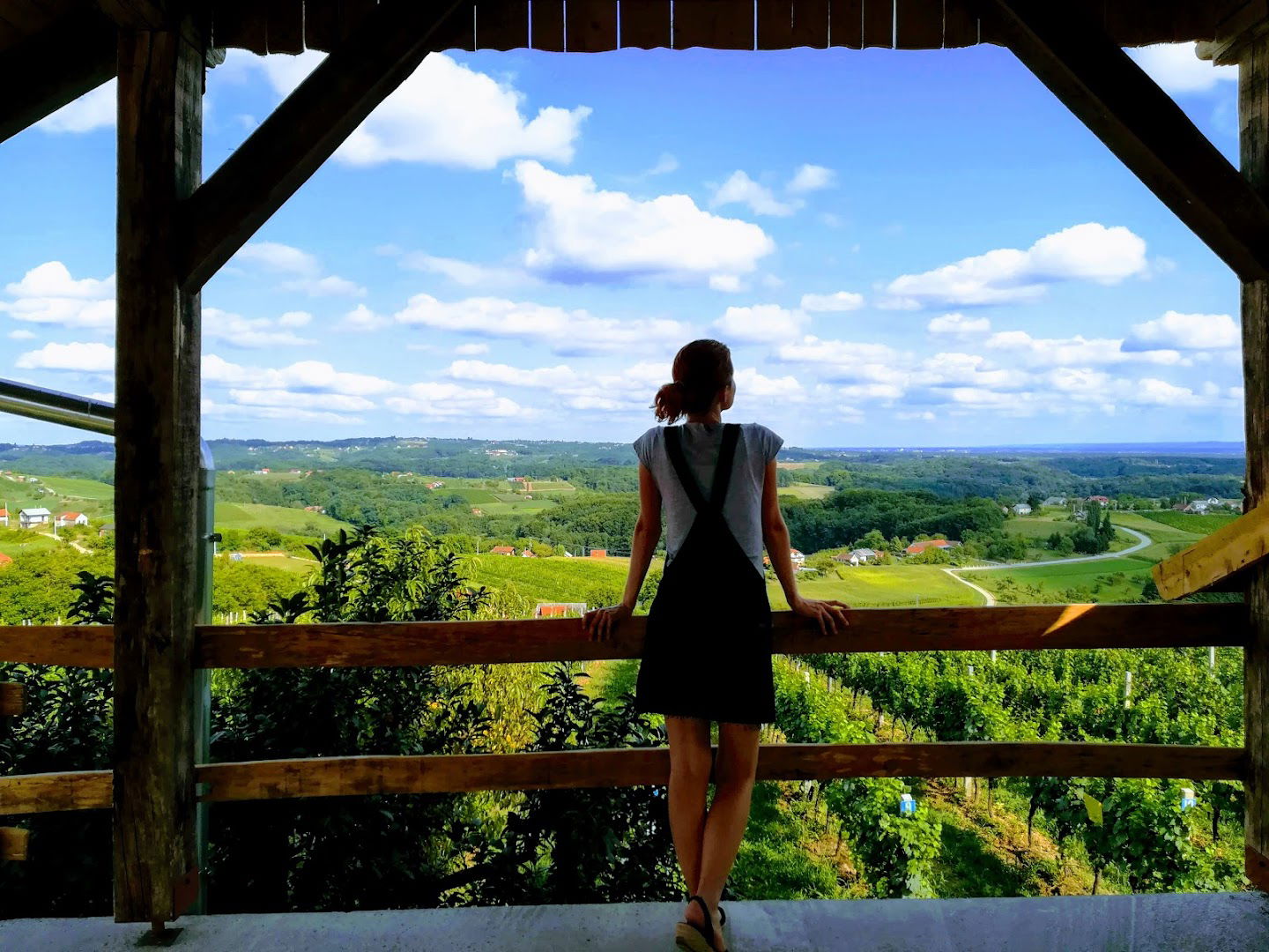 Vino Lovrec Organic Winery