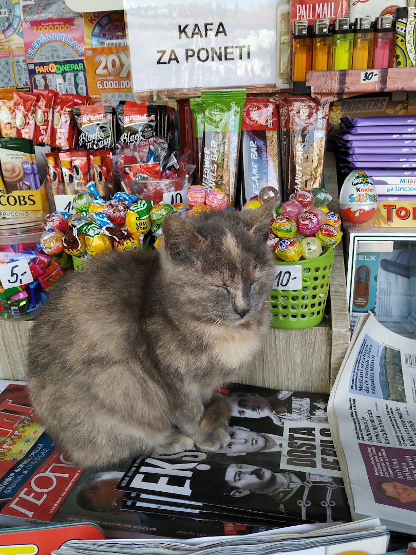 Немања Плус