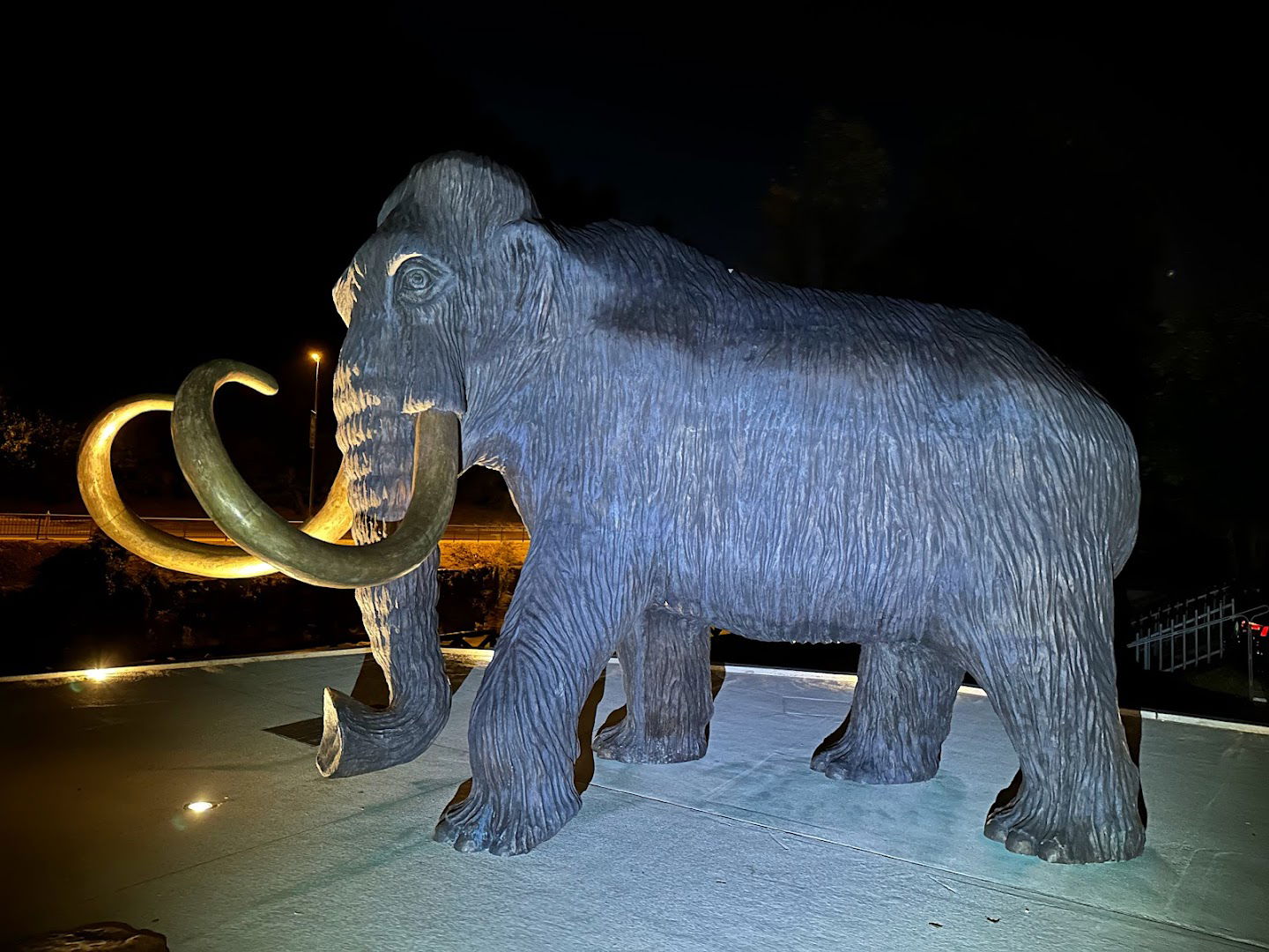 Kip Mamuta / Mammoth Statue