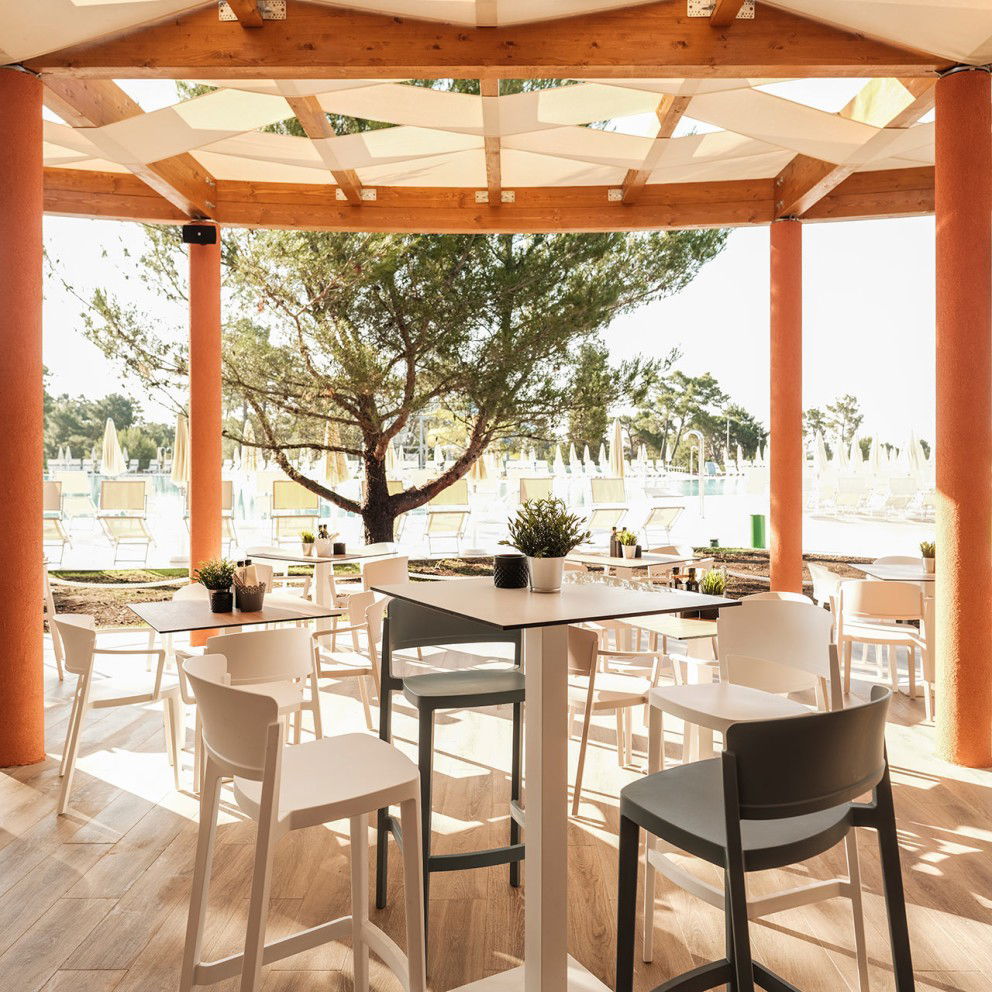 Mimosa Social Bar & Kitchen