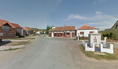 Trgovački Obrt Paun