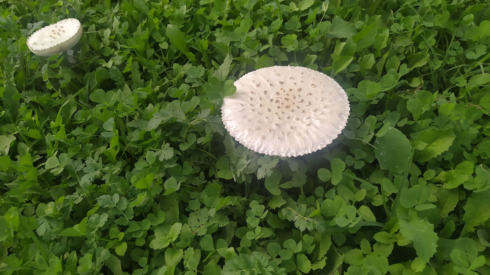 JKP Beogradski vodovod i kanalizacija