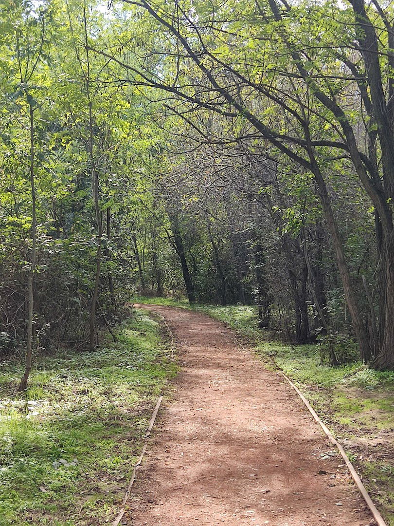 ТРИМ СТАЗА СРЕМЧИЦА