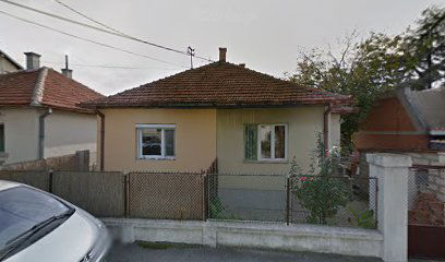 Mladenović MV Dental