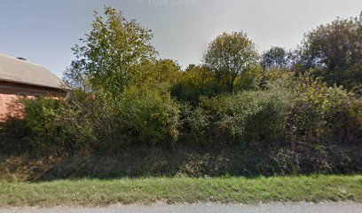 Donji Bogovići cemetery