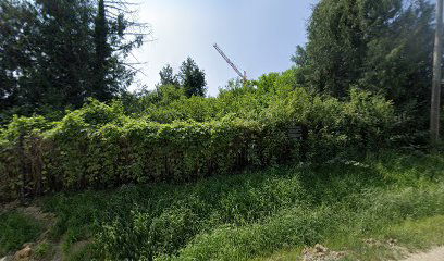 Grubisno Polje Jewish Cemetery