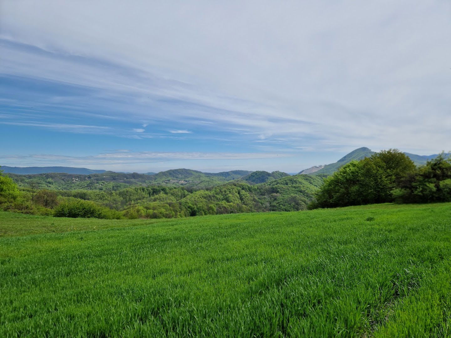 Orhidejska Staza (Strahinjčica)