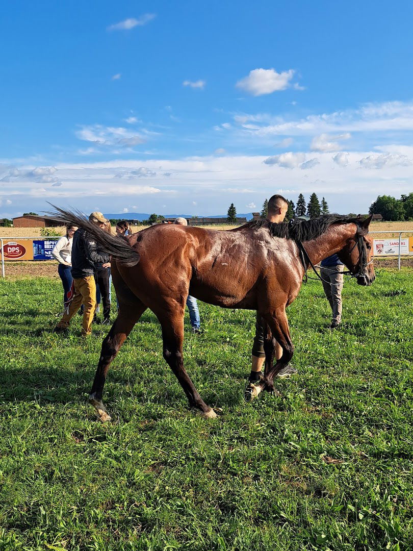 Racecourse KK Mačvanin