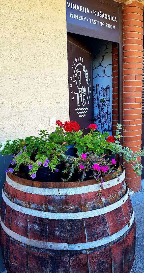 Wine House Fiolić, winery & wine shop
