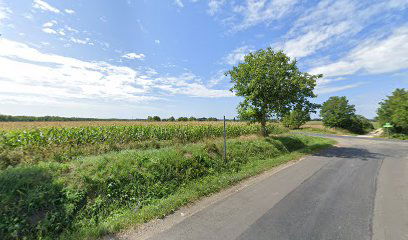 Surd, somogybükkösdi elágazás [3]