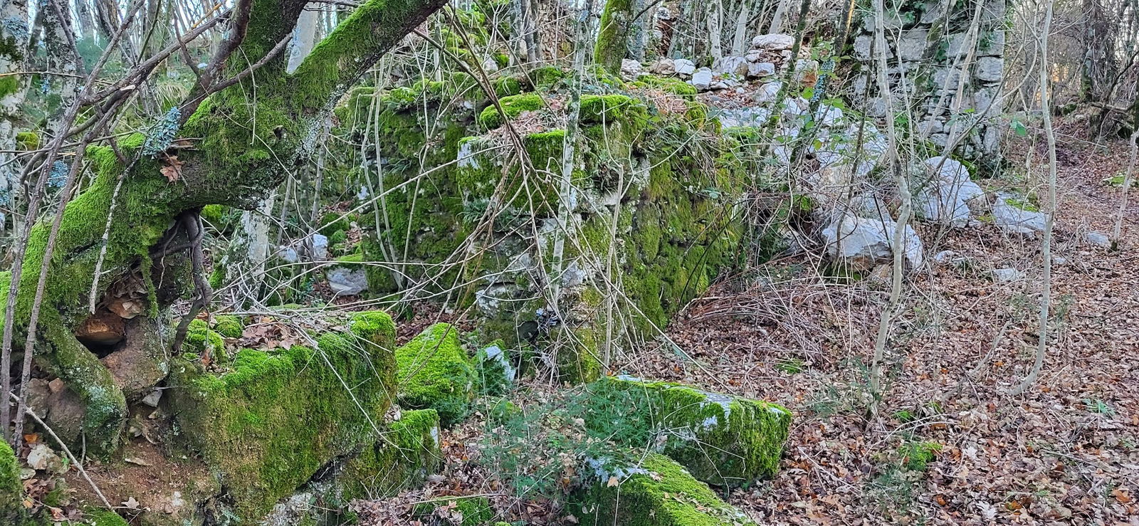 Ruševine sela Jeberini