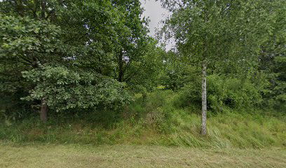 Aranyospuszta templom torony