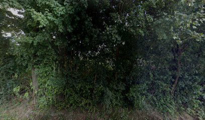 Lovacko drustvo prepelica