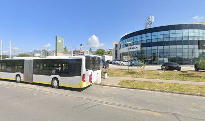 KRALJA DRŽISLAVA - DRAGOVODE