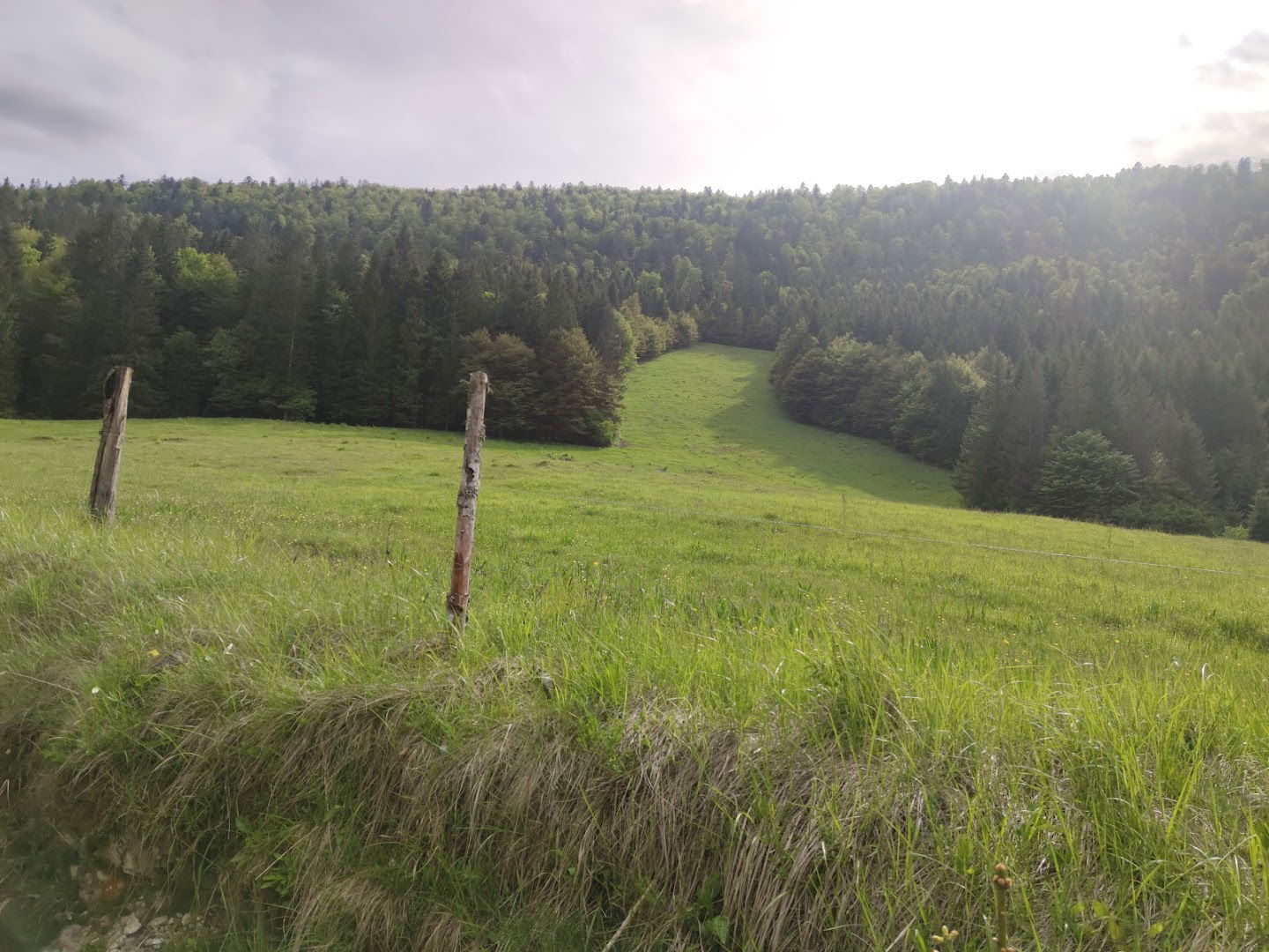 Smučišče v Glažuti