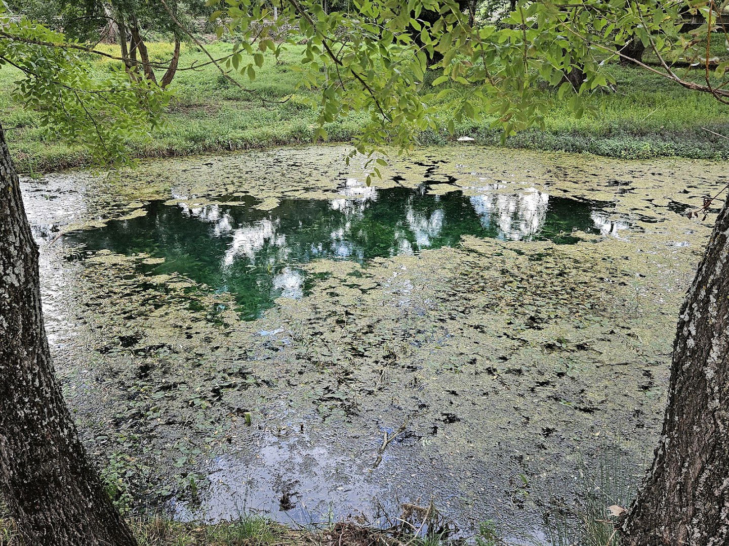Vrelo Vrljike - Utopišće
