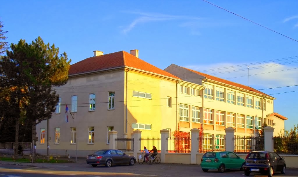 Бошко Палковљевић - Пинки