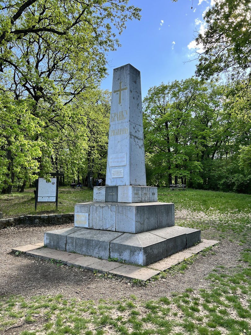 Branko's grave