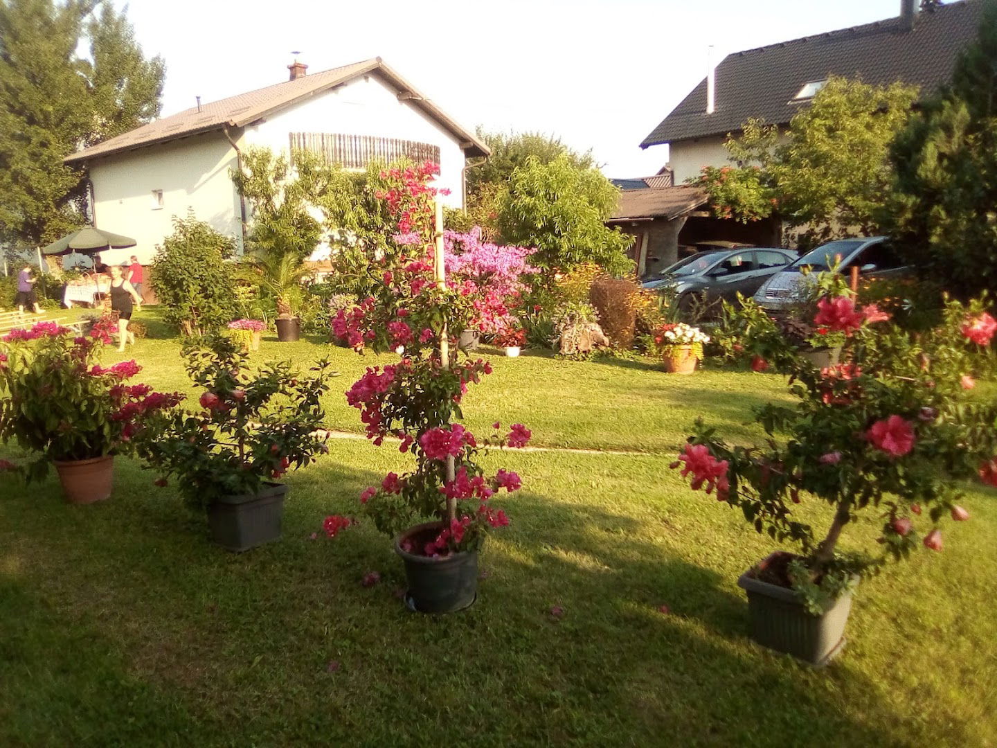 Chapel of St. Donatus