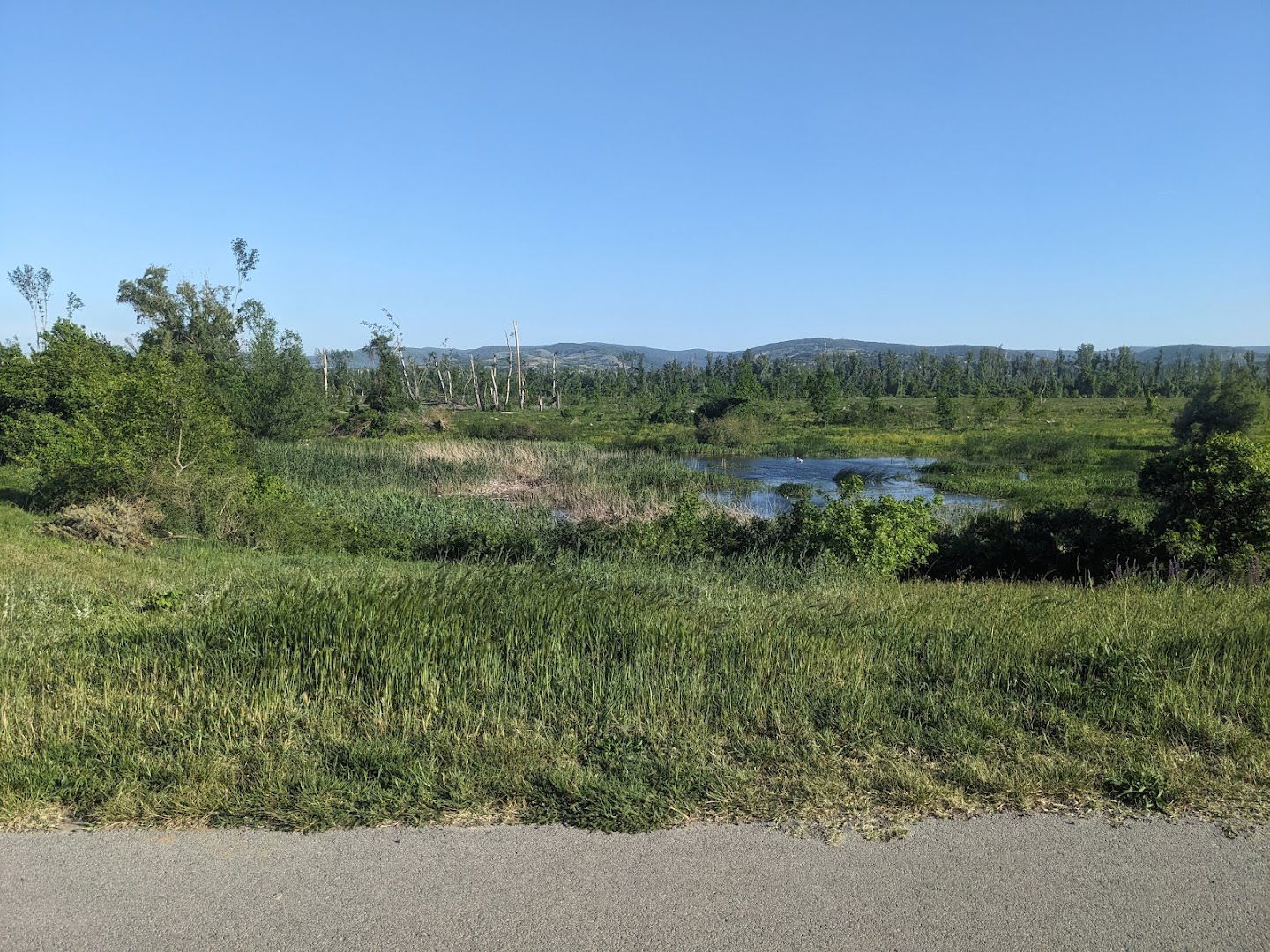 Bici staza Euro velo 8