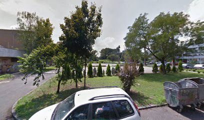 Жикицин терен